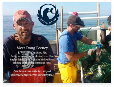 Doug Feeney on the working waterfront