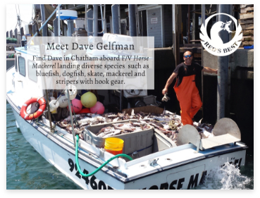 Dave Gelfman on the working waterfront