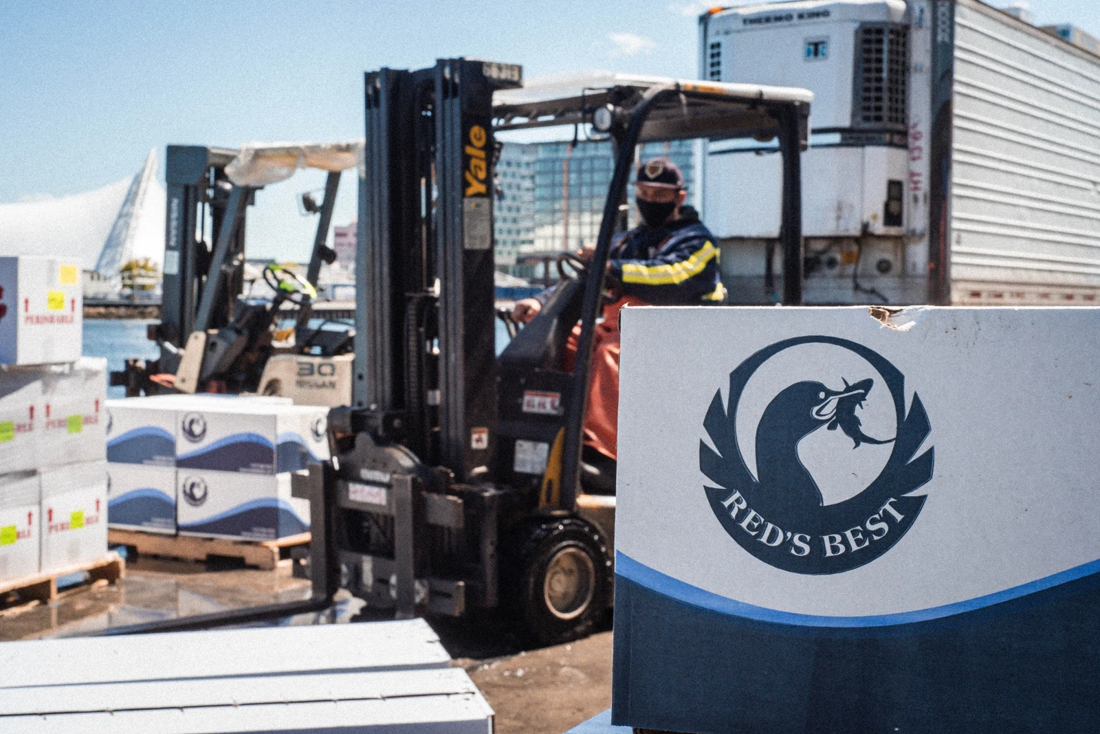 Red’s Best seafood boxes and a forklift working on the Boston waterfront